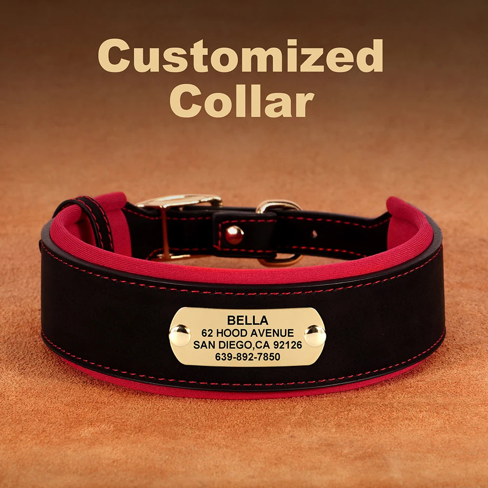 Customized Engraved Wide Leather Dog Collar – Soft Padded for Medium & Large Dogs