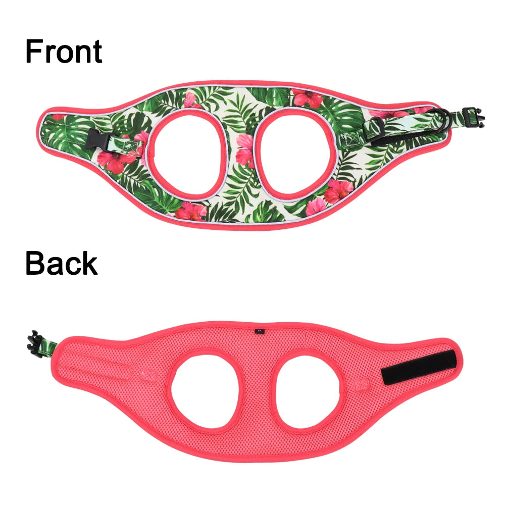 Printed Mesh Dog & Cat Harness Leash Set – Adjustable No-Pull Pet Vest with Matching Lead (Pink / Black / Blue)