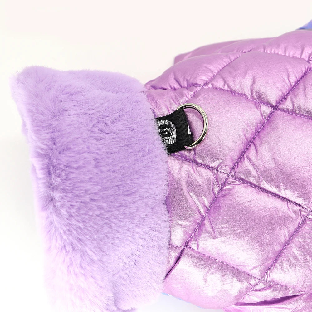 Warm Winter Dog Coat – Waterproof Jacket for Small & Medium Breeds