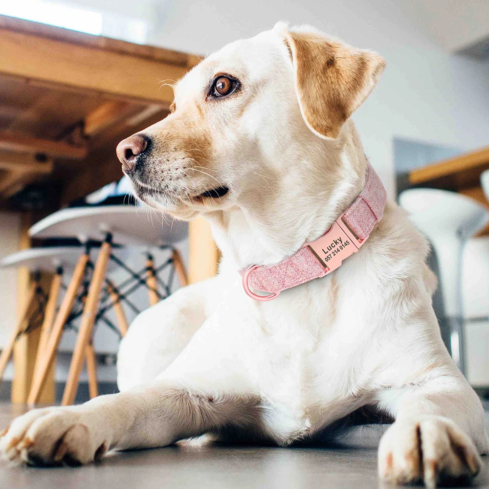 High Quality Personalized Dog Collar – Adjustable Cotton Collar with Custom Engraved ID Tag for Small, Medium & Large Dogs
