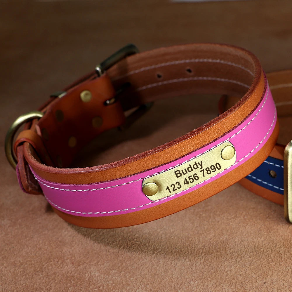 Personalized Leather Dog Collar – Soft Padded, Custom Engraved Nameplate for Medium & Large Dogs