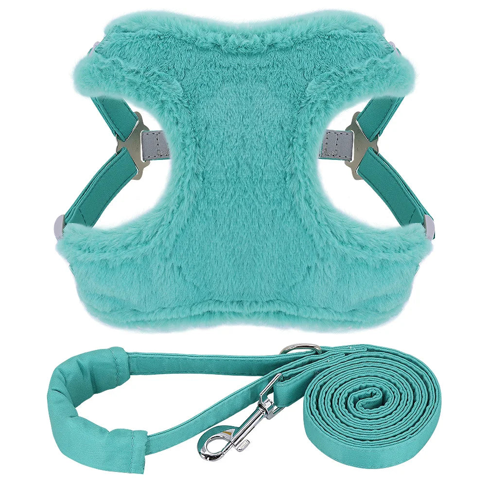 Soft Padded Dog & Cat Harness Leash Set – Warm Winter Vest for Small Dogs & Puppies (Chihuahua, Yorkie, French Bulldog)