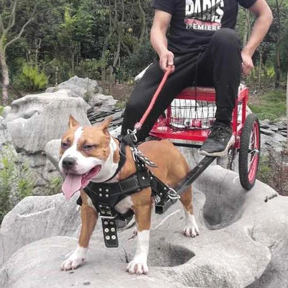 Durable Dog Training Harness – Heavy-Duty Weight Pulling & Agility Harness for Large Dogs & German Shepherds