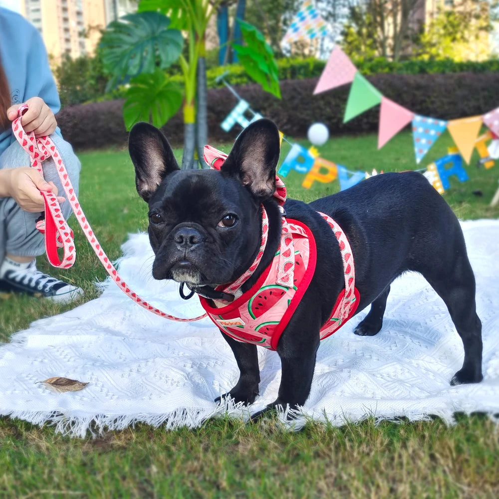 6-Piece Dog Harness Set – Fashion Printed Harness with Matching Collar, Leash, Bandana, Bowtie & Poop Bag Holder for Small & Medium Dogs