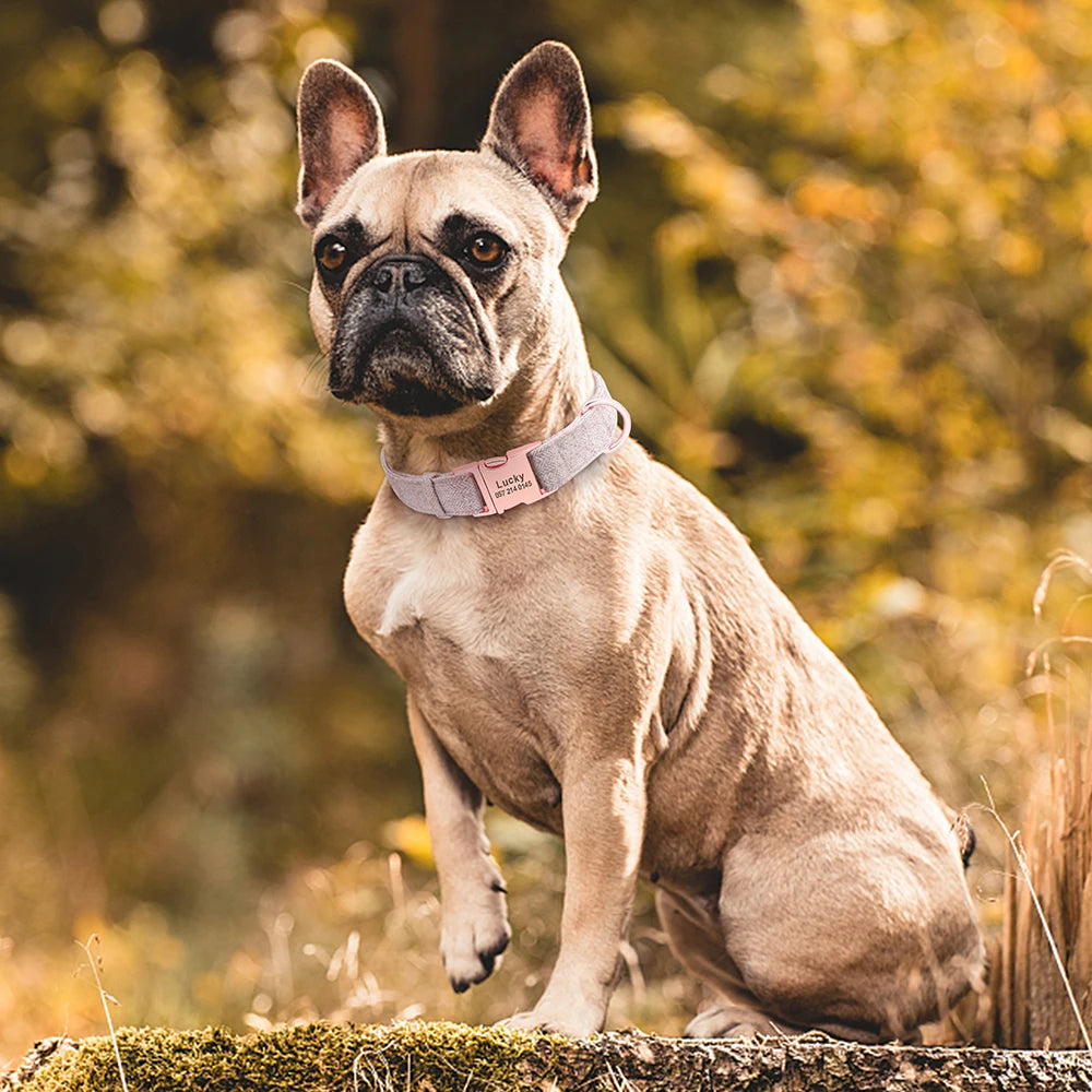 High Quality Personalized Dog Collar – Adjustable Cotton Collar with Custom Engraved ID Tag for Small, Medium & Large Dogs
