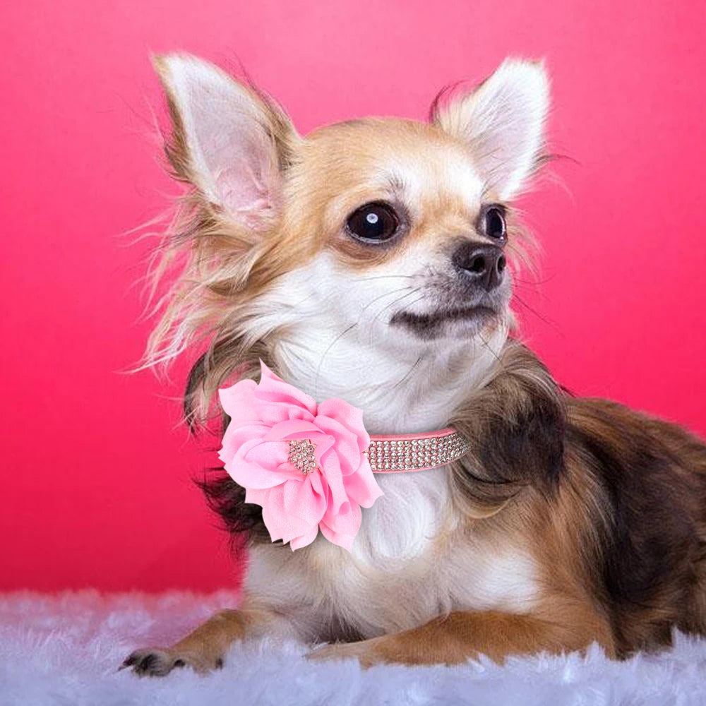Bling Rhinestone Dog Collar with Flower – Sparkly Crystal Puppy & Cat Necklace for Chihuahua, Yorkie, Poodle