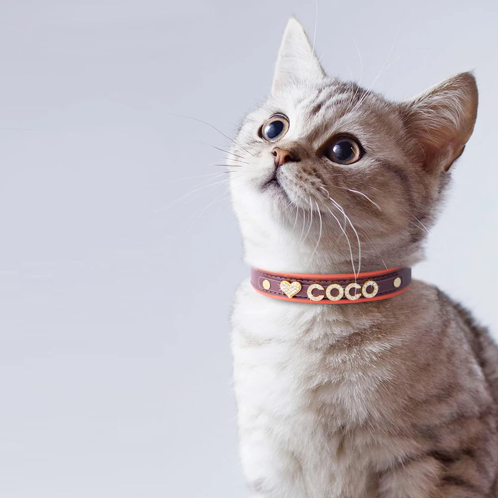 Personalized Small Dog Cat Collar – DIY Rhinestone Bling Charm