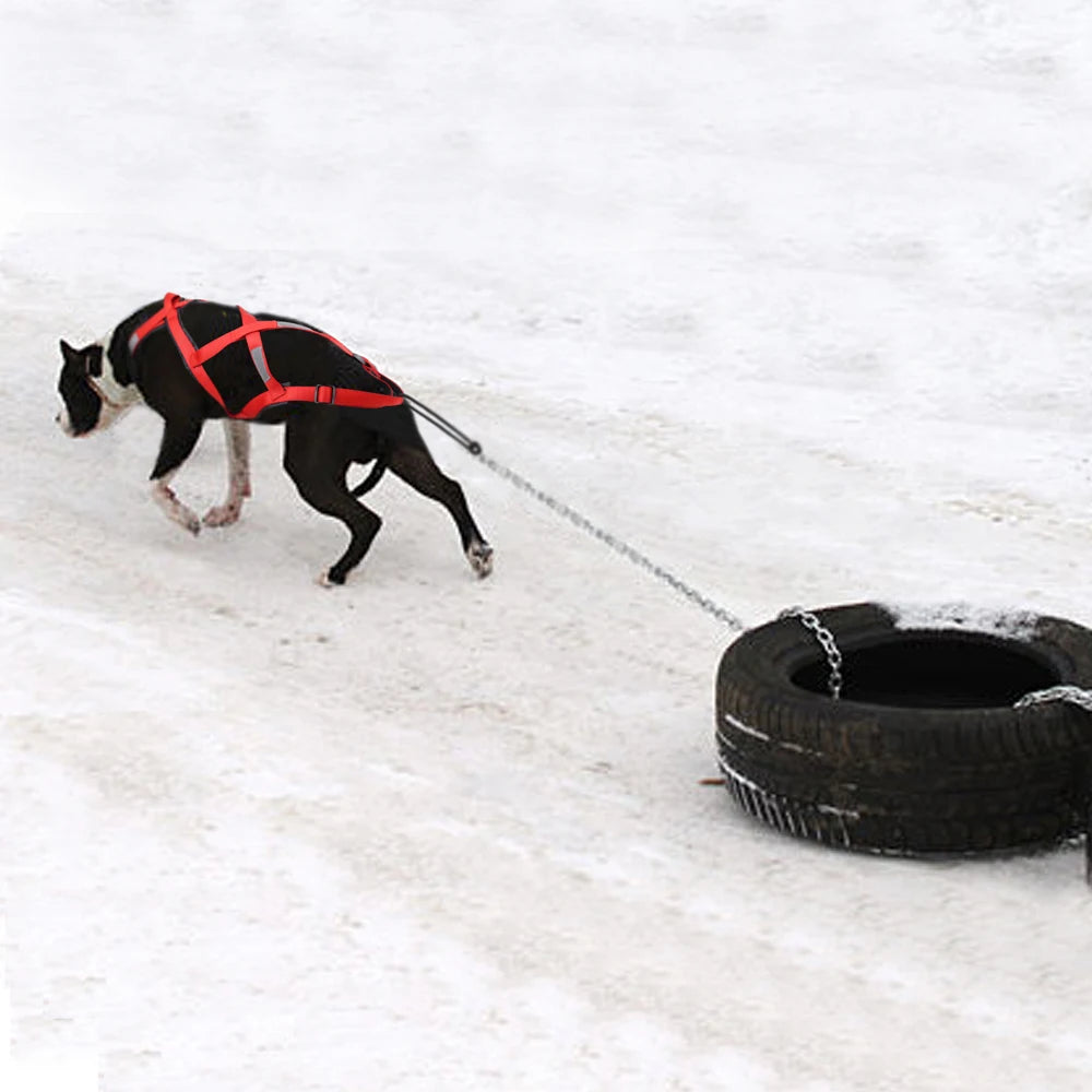 Dog Sledding Harness Reflective Pet Sledding Skijoring Harness Waterproof Big Large Dogs Weight Pulling Vest For Pet Training