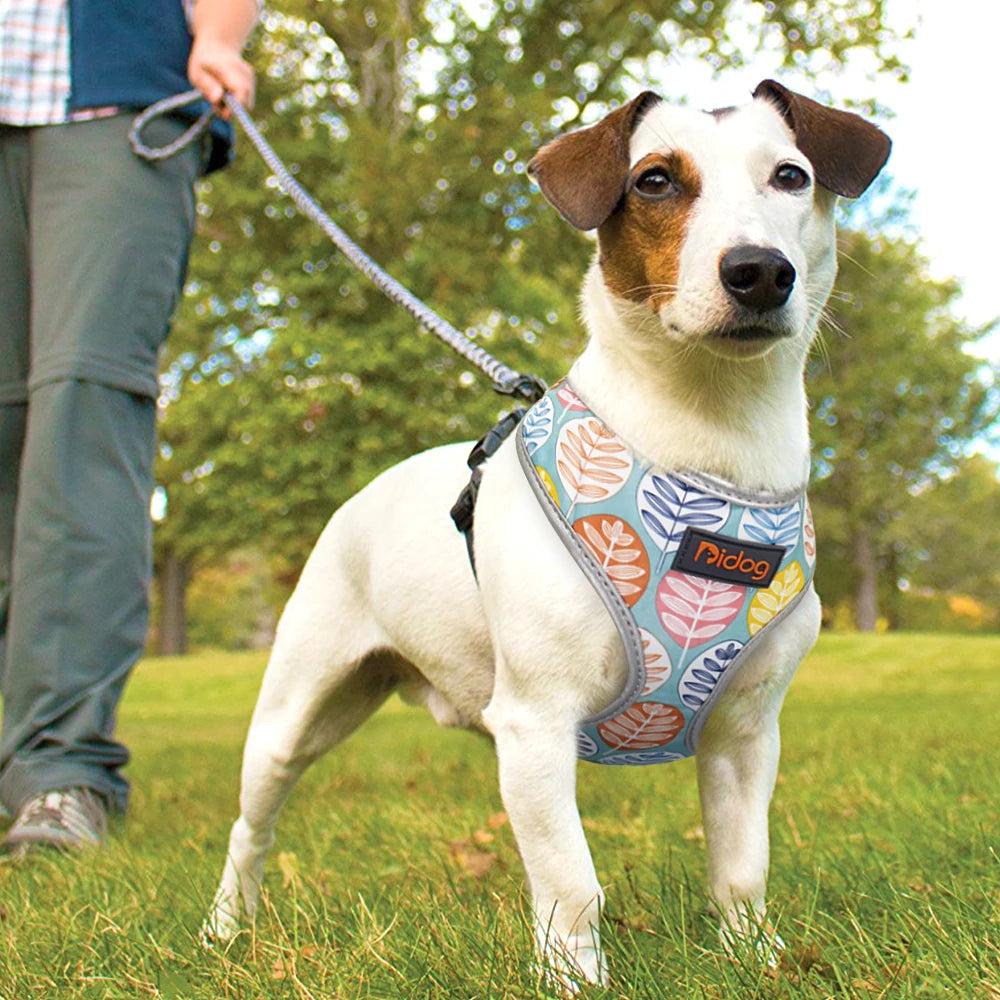 Fashion Printed Nylon Dog Harness Reflective French Bulldog Pug Harness Dog Vest For Small Medium Dogs Cats Walking Training