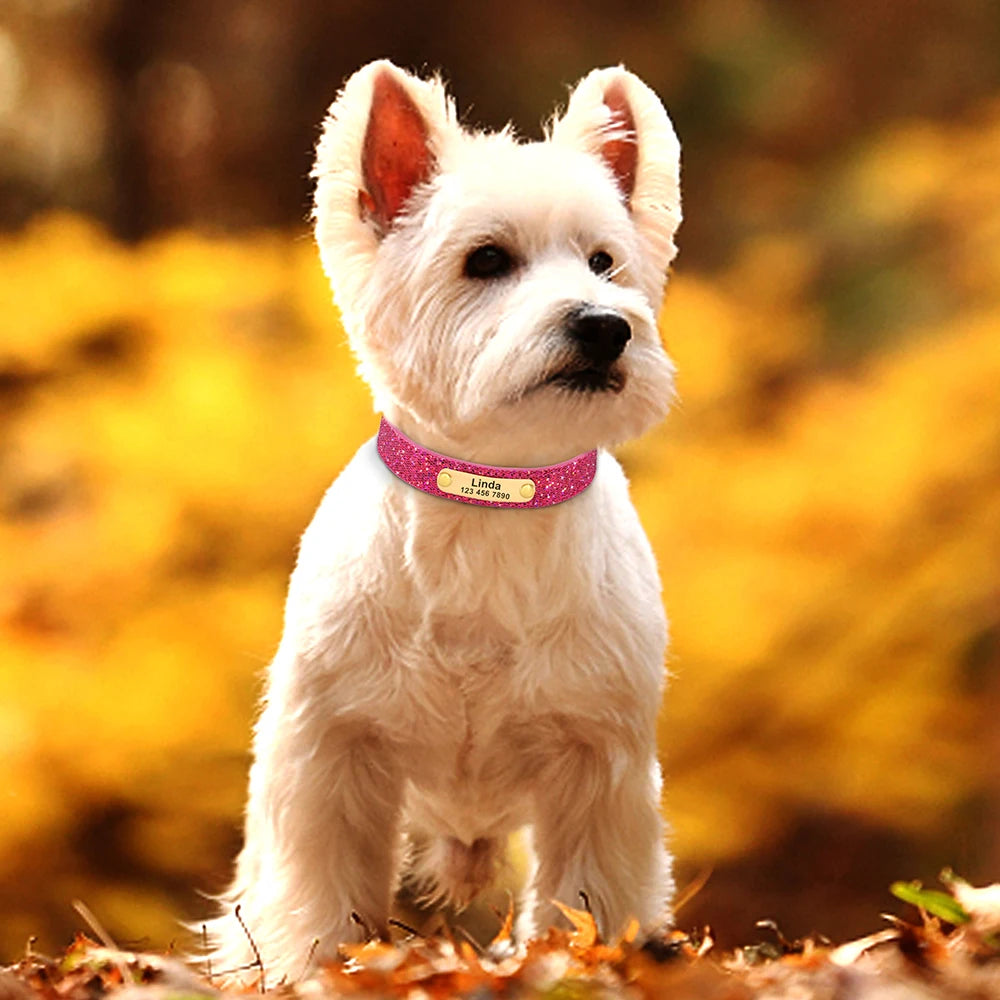 ✨ Personalized Bling Dog Collar – Sparkle, Style & Safety ✨