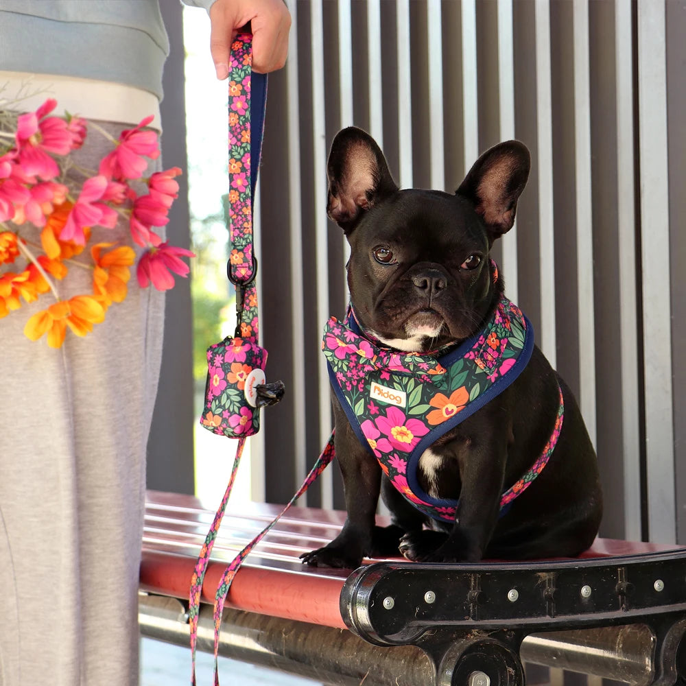 6-Piece Dog Harness Set – Fashion Printed Harness with Matching Collar, Leash, Bandana, Bowtie & Poop Bag Holder for Small & Medium Dogs