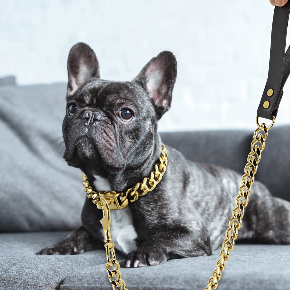 Stainless Steel Dog Chain Collar & Leash Set – Heavy Duty Training Collar for Medium & Large Dogs