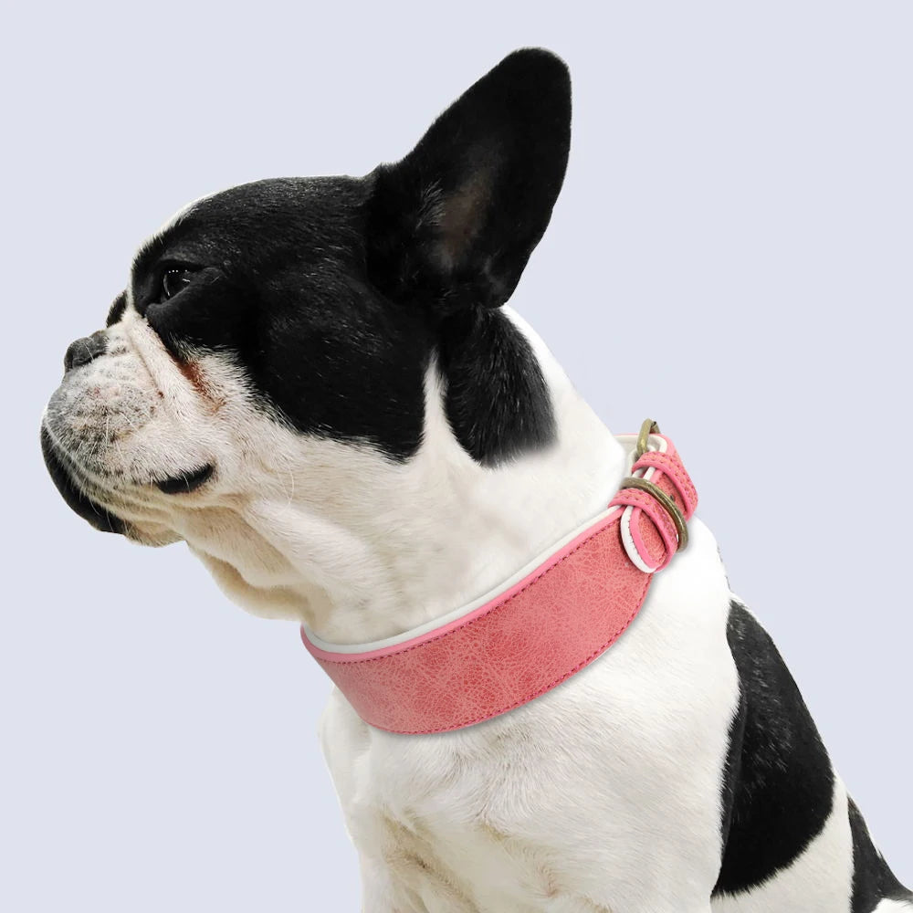 Wide Leather Dog Collar – Soft Padded & Adjustable | Durable Pet Collar for Pitbulls, German Shepherds, Bulldogs & Large Breeds (XL–2XL)