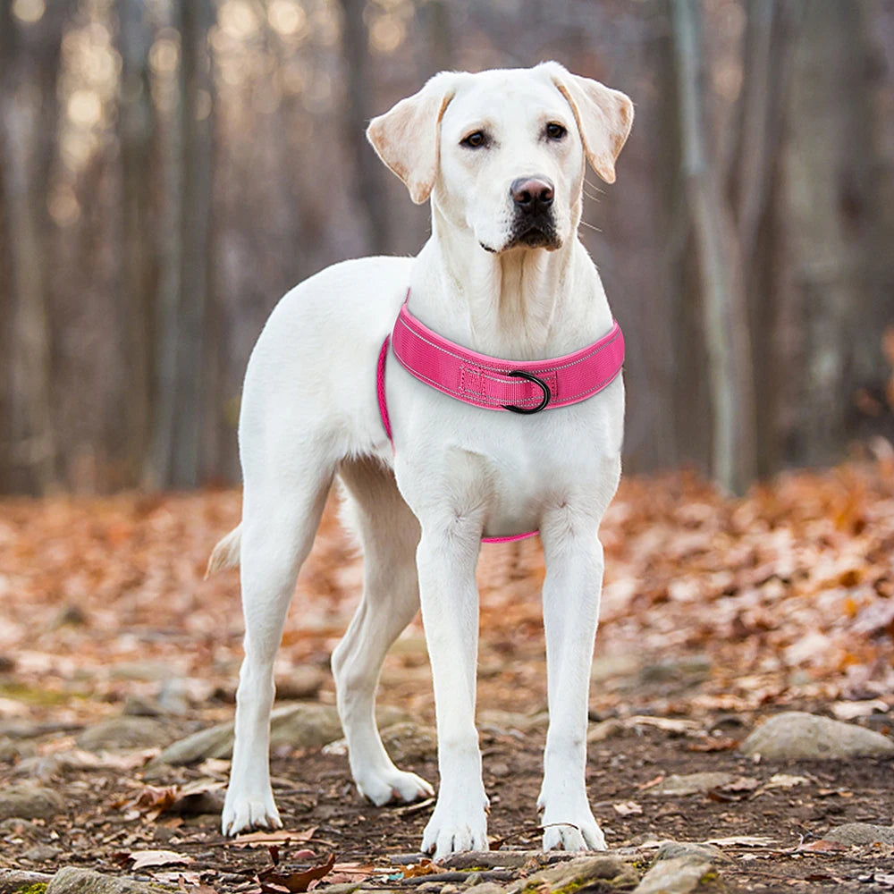 Reflective No Pull Nylon Dog Harness – Adjustable Training & Walking Vest for Medium & Large Dogs