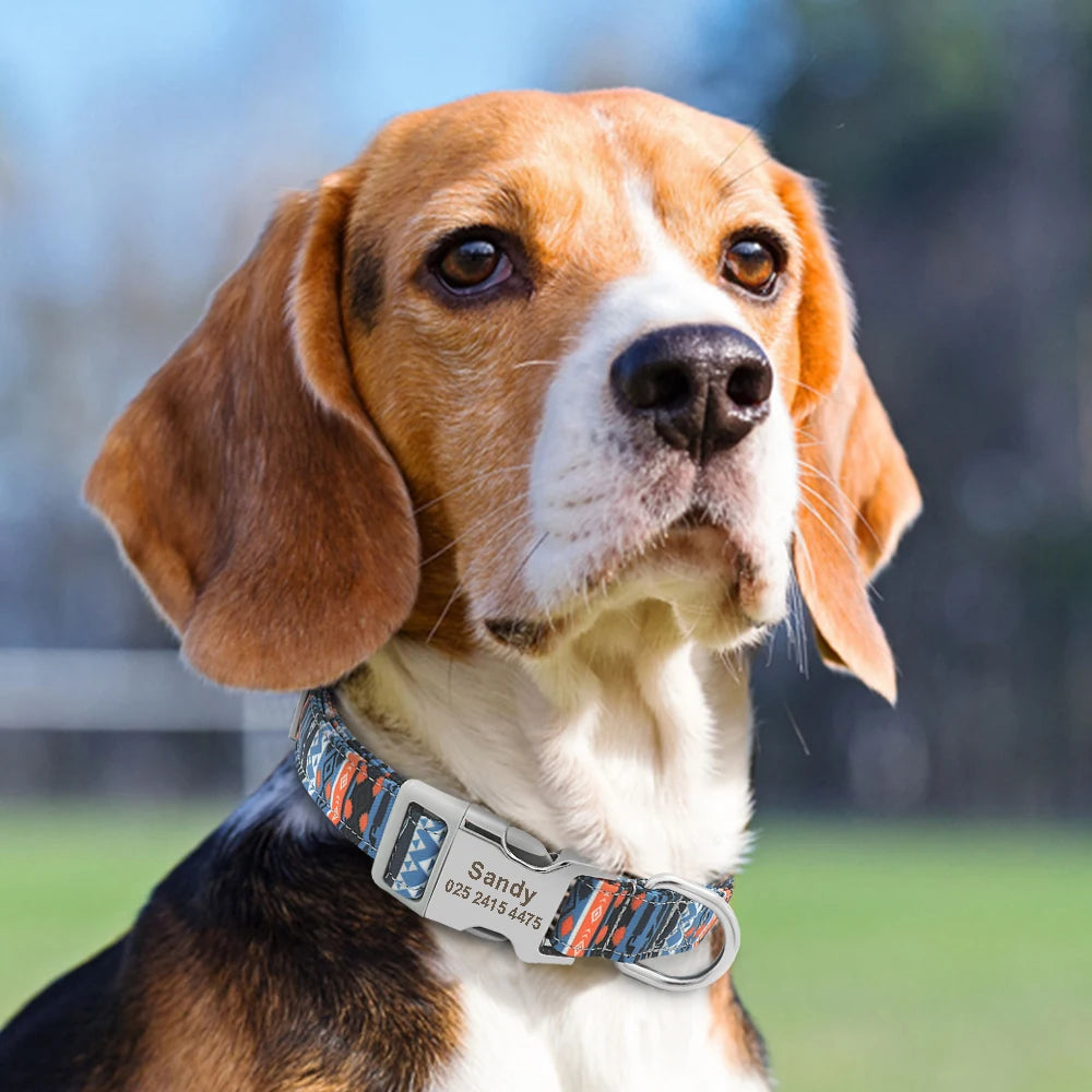Custom Engraved Dog Collar – Personalized Printed Nylon Collar with ID Tag, Name & Phone Number for Small & Large Dogs