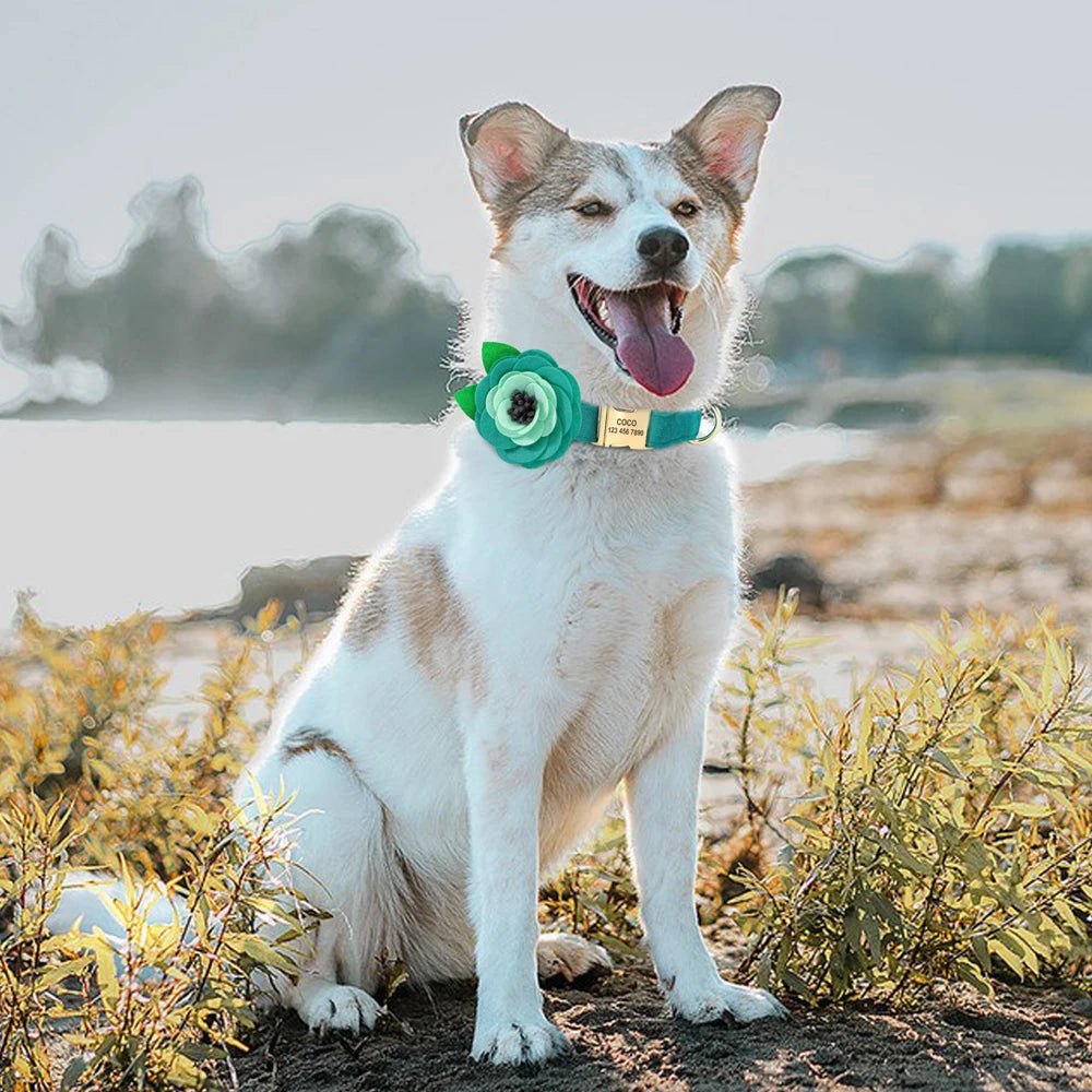Personalized Floral Dog Collar – Custom Engraved Buckle with Cute Flower Accessory for Dogs & Cats