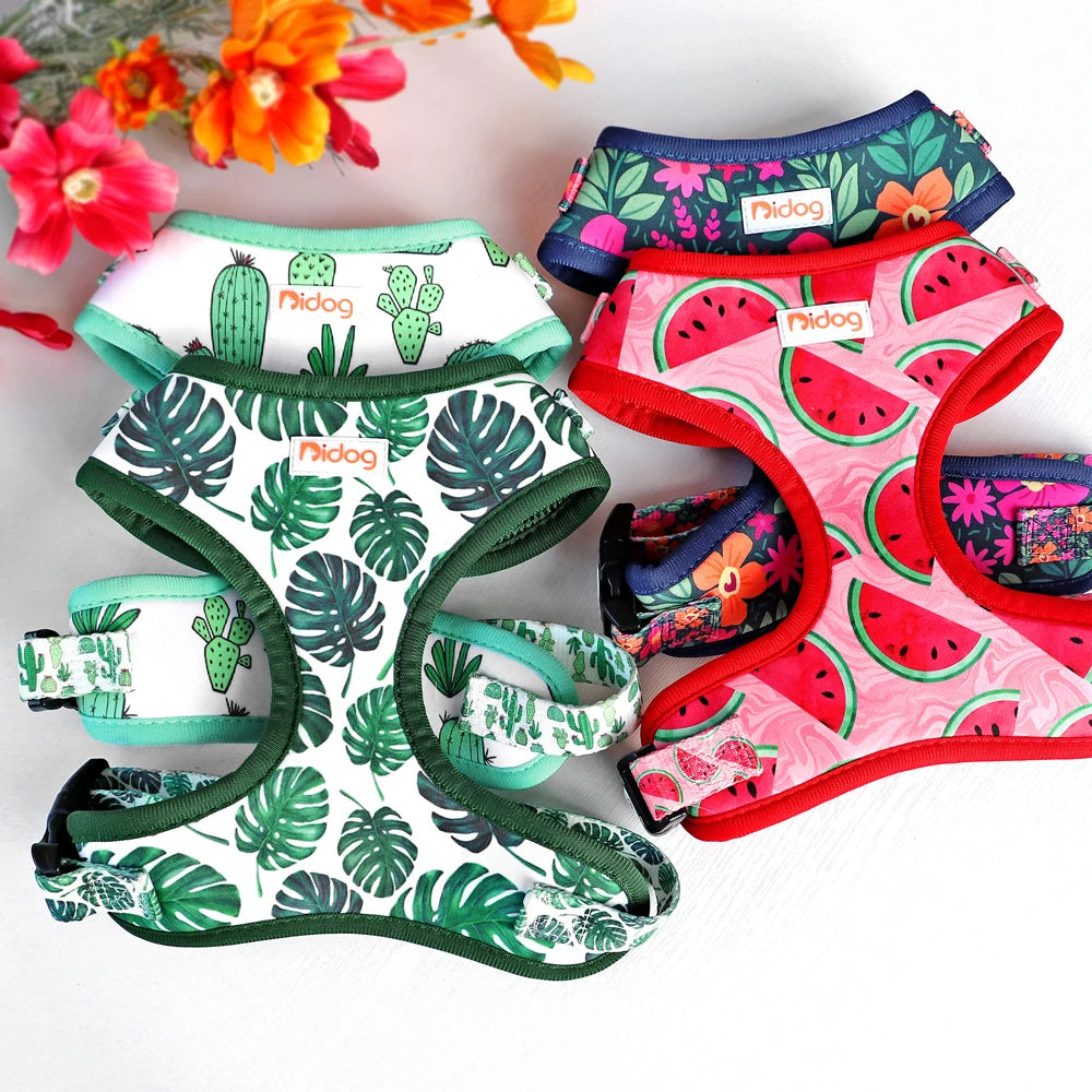 6-Piece Dog Harness Set – Fashion Printed Harness with Matching Collar, Leash, Bandana, Bowtie & Poop Bag Holder for Small & Medium Dogs