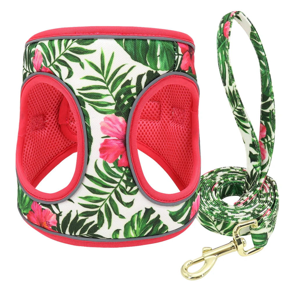 Printed Mesh Dog & Cat Harness Leash Set – Adjustable No-Pull Pet Vest with Matching Lead (Pink / Black / Blue)