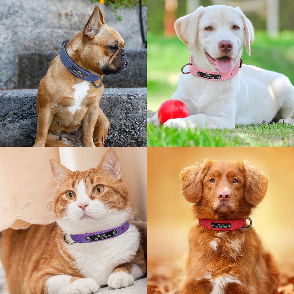 Personalized Dog Collar Custom Engraved Dog Tag Collar Leather Pet Puppy Cat ID Tags Collars For Small Medium Large Dogs Pitbull