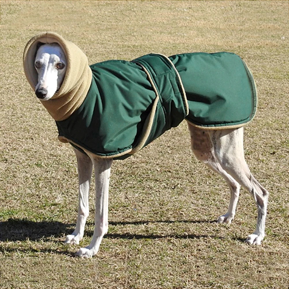 Waterproof Winter Dog Coat – Super Warm Jacket for Large Breeds