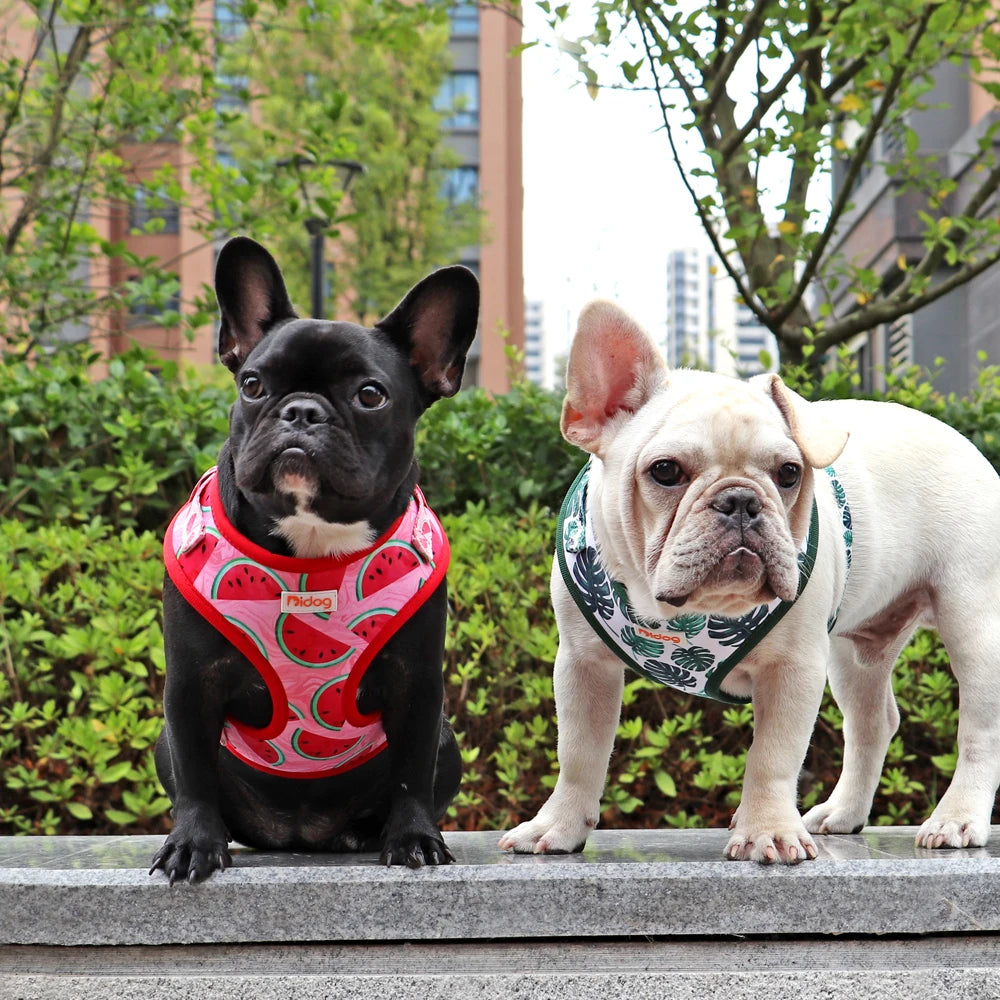 Fashion Printed Nylon Dog Harness Reflective French Bulldog Pug Harness Dog Vest For Small Medium Dogs Cats Walking Training