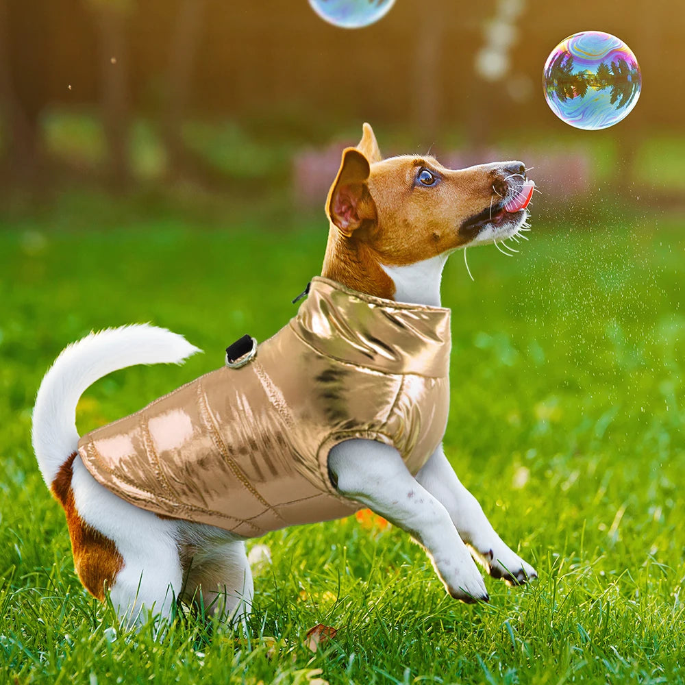 Warm Waterproof Dog Vest with Built-In Harness – Reflective Winter Jacket for Small & Medium Dogs
