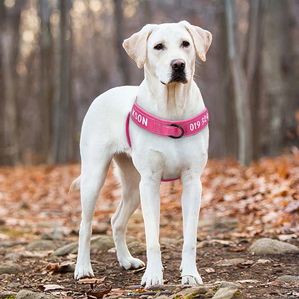 Personalized Reflective No-Pull Dog Harness – Adjustable Nylon Training Vest for Medium & Large Dogs