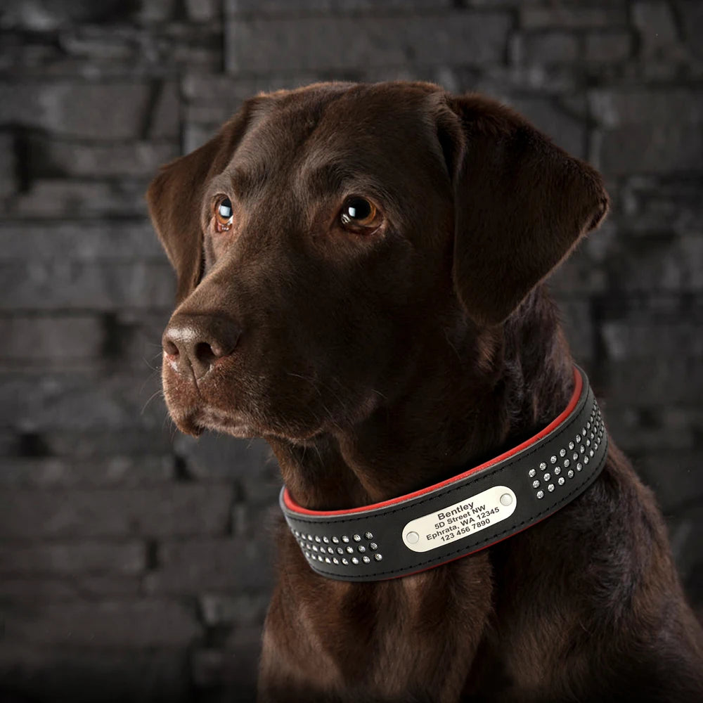 Personalized Dog Collar with Rhinestones – Custom Engraved Leather Pet ID Collar | Adjustable for Small, Medium & Large Dogs