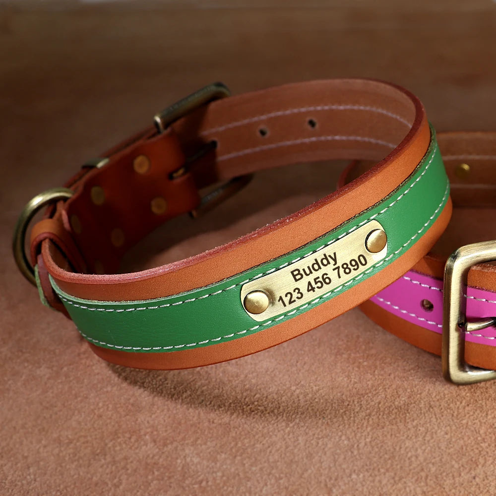 Personalized Leather Dog Collar – Soft Padded, Custom Engraved Nameplate for Medium & Large Dogs