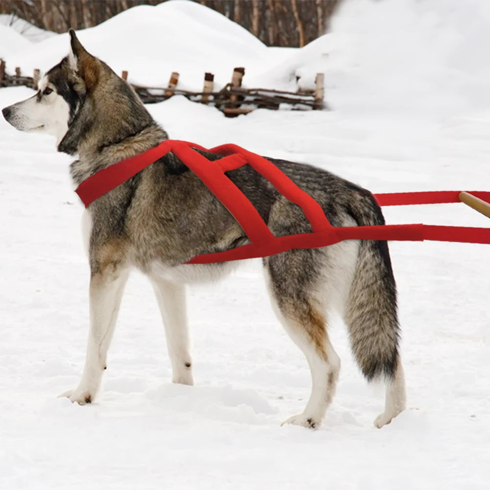 Durable Big Dog Weight Pulling Harness Dog Sledding Harness For Medium Large Dogs German Shepherd Training Pet Agility Products