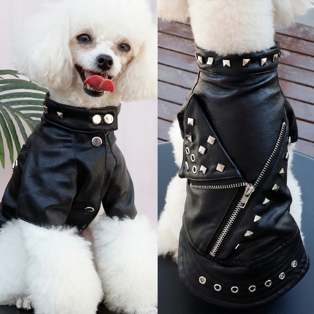Cool Dog Jacket – Rocker Style Leather Coat for Small & Medium Dogs
