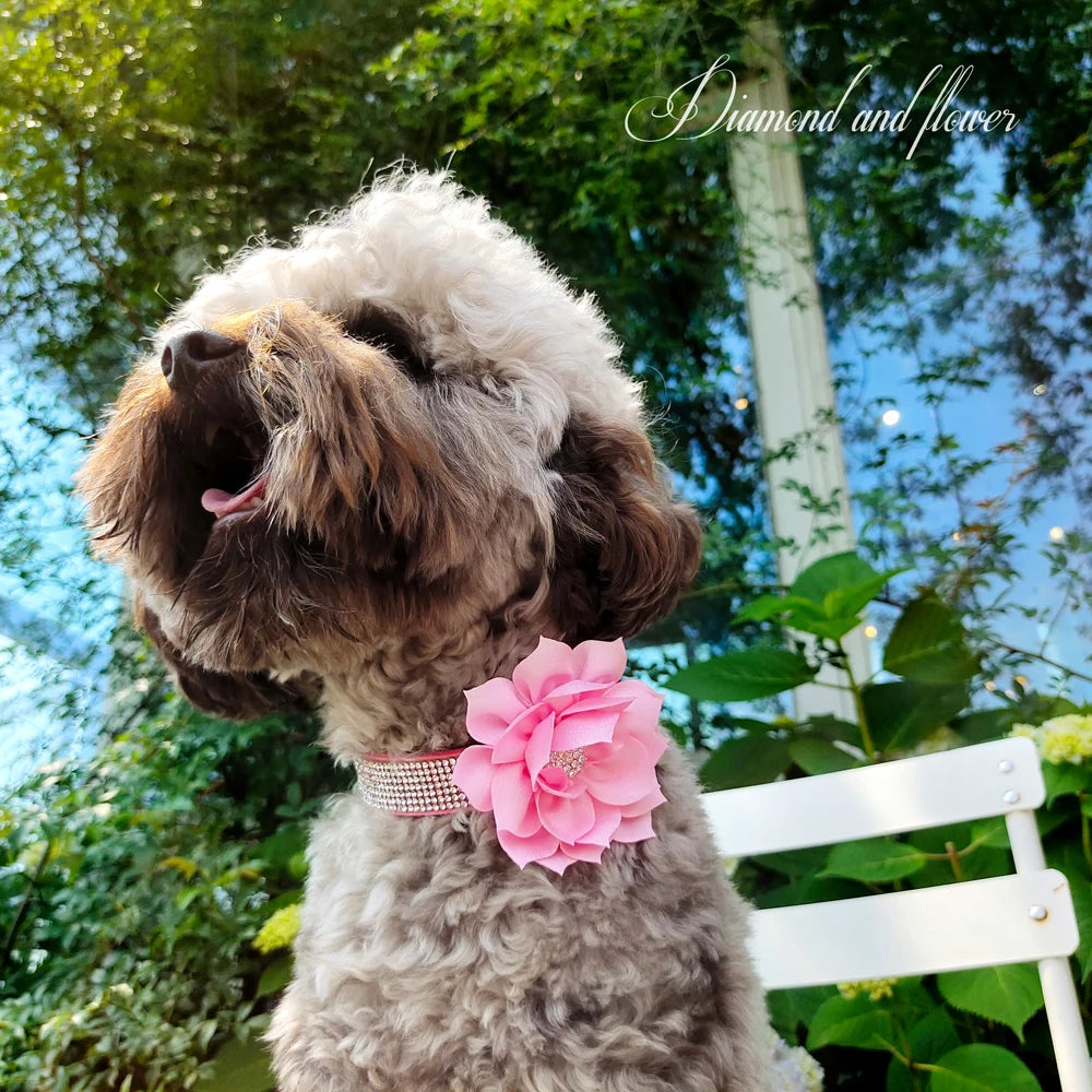Bling Rhinestone Dog Collar with Flower – Sparkly Crystal Puppy & Cat Necklace for Chihuahua, Yorkie, Poodle