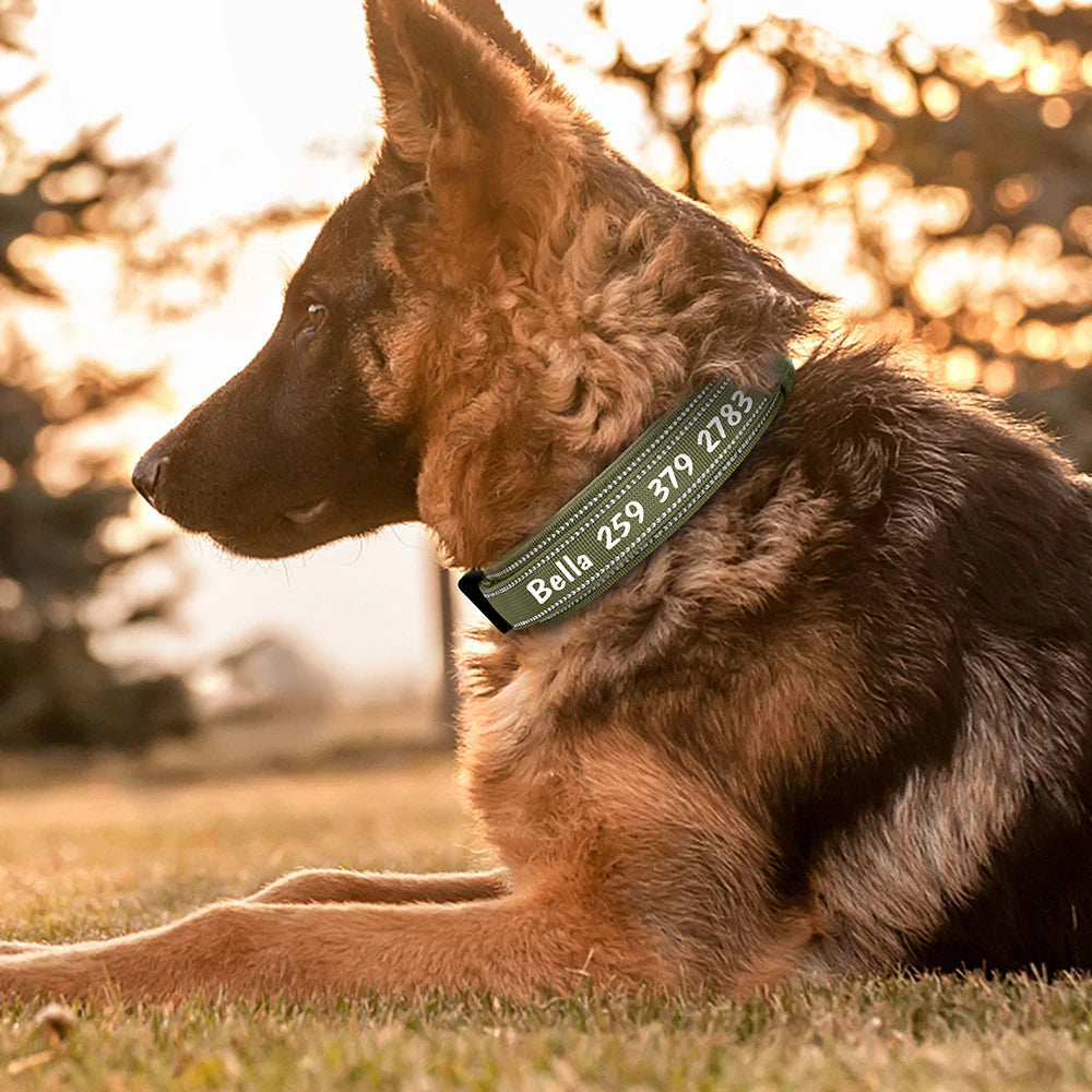 Custom Nylon Dog Collar – Military Tactical Reflective Collar for Medium & Large Dogs