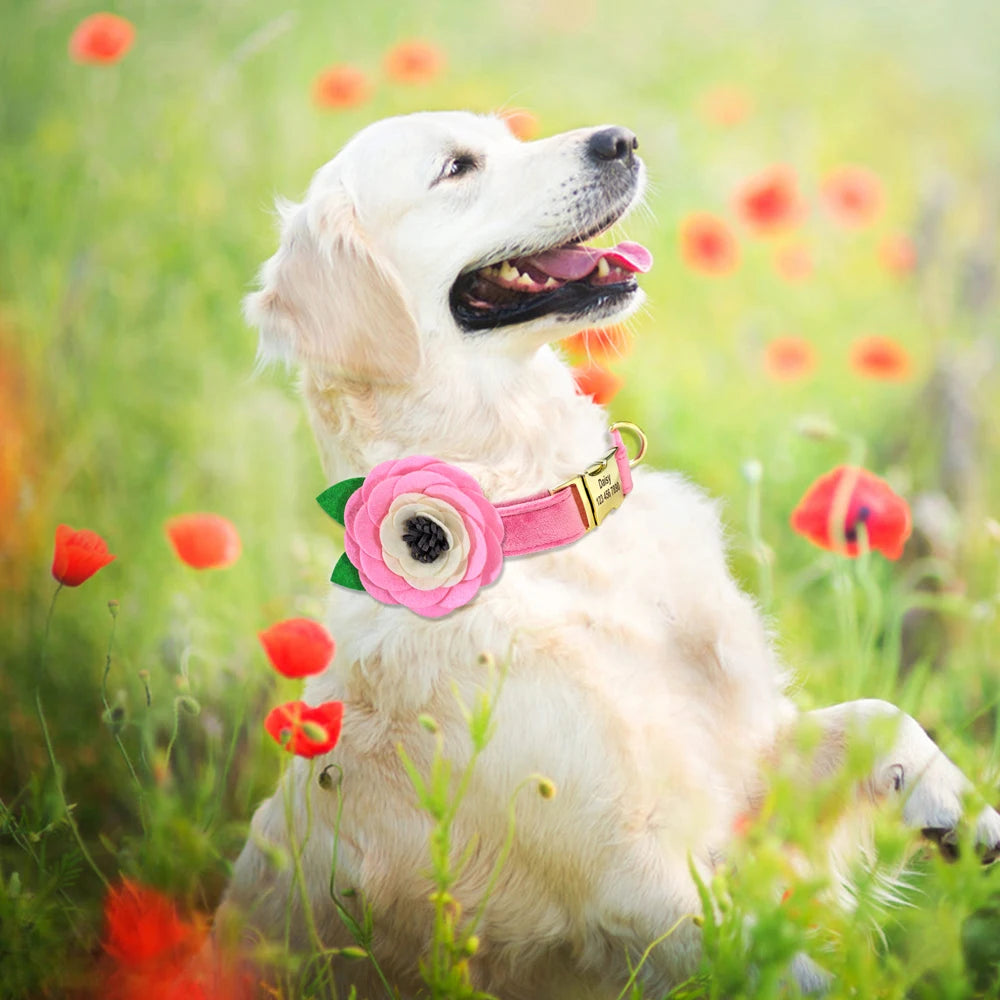 Personalized Floral Dog Collar – Custom Engraved Buckle with Cute Flower Accessory for Dogs & Cats