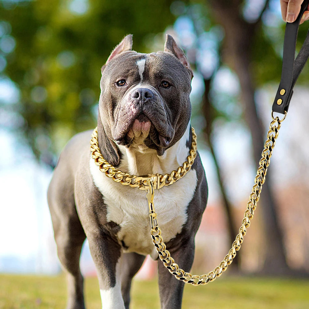 Stainless Steel Dog Chain Collar & Leash Set – Heavy Duty Training Collar for Medium & Large Dogs