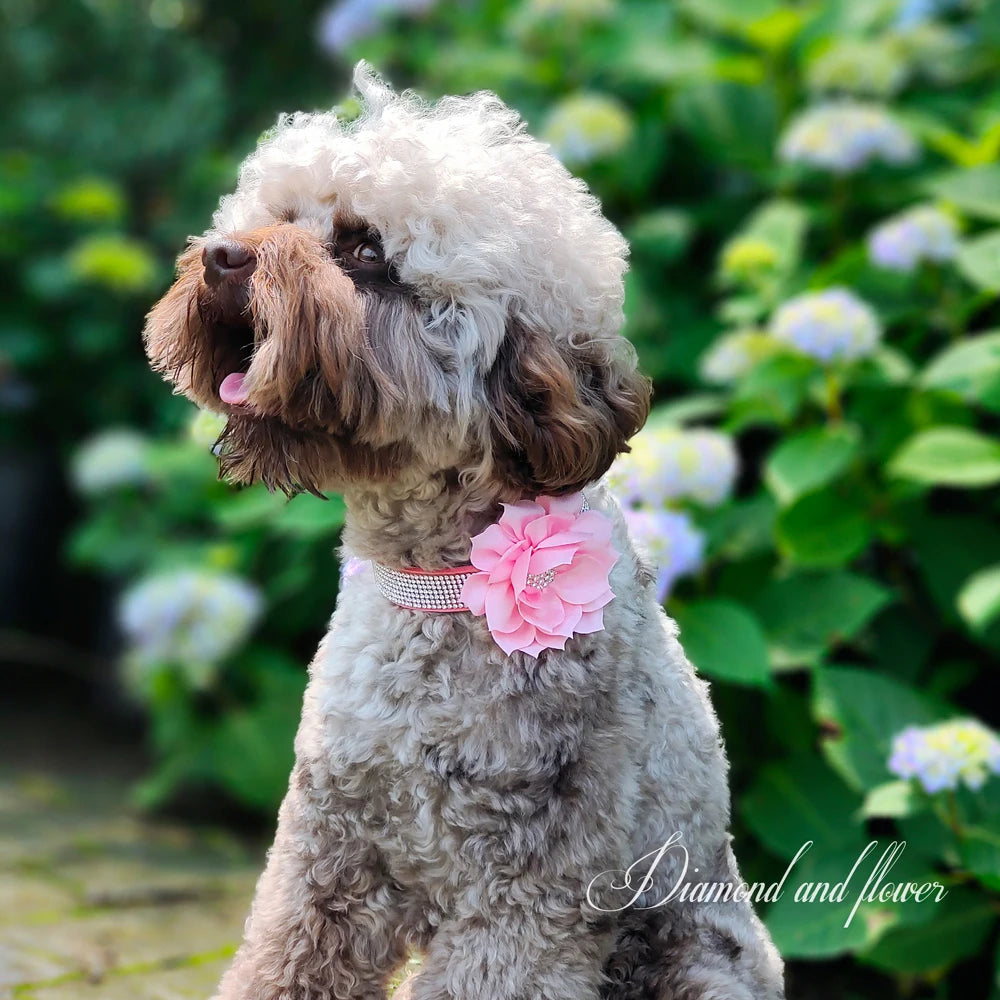 Bling Rhinestone Dog Collar with Flower – Sparkly Crystal Puppy & Cat Necklace for Chihuahua, Yorkie, Poodle