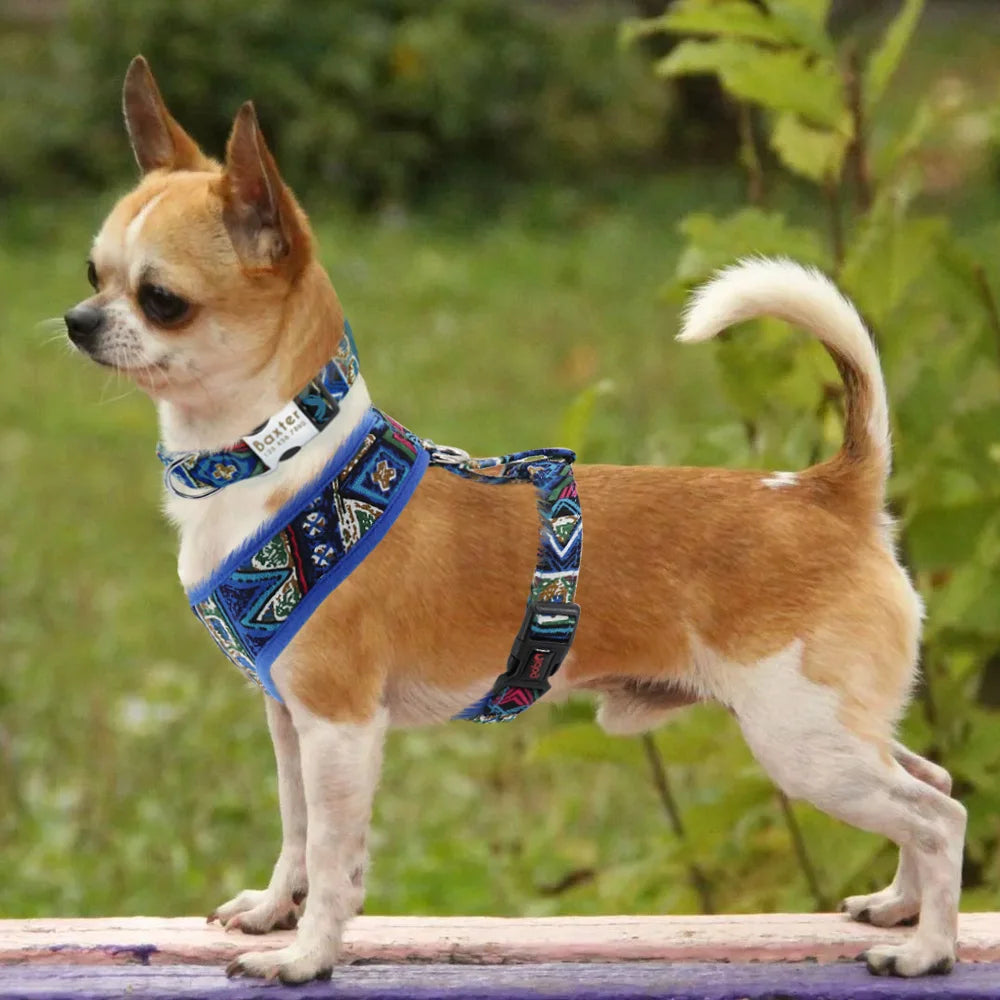 Adjustable Nylon Dog Harness Breathable Printed Dog Harness Vest For Small Medium Large Dogs French Bulldog Pet Supplies