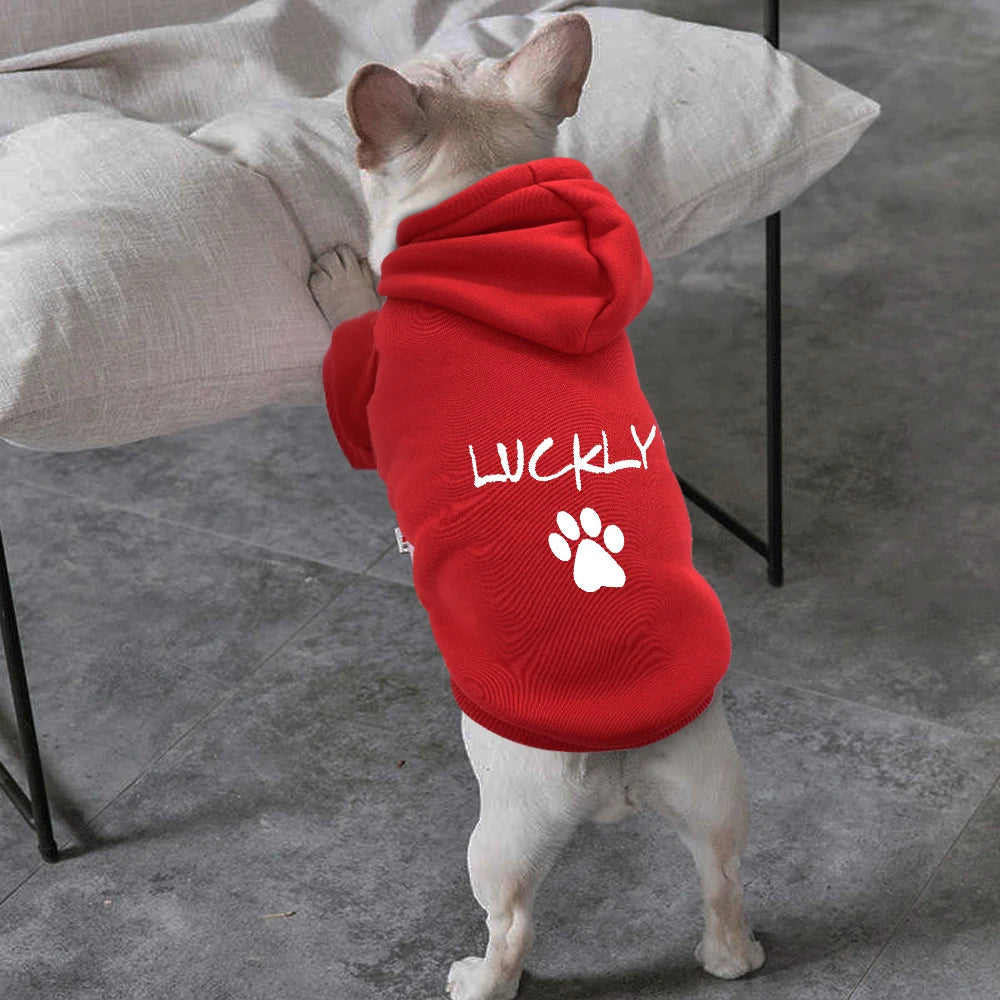 Custom Dog & Cat Hoodie – Personalized Pet Name Sweatshirt for Small, Medium & Large Dogs