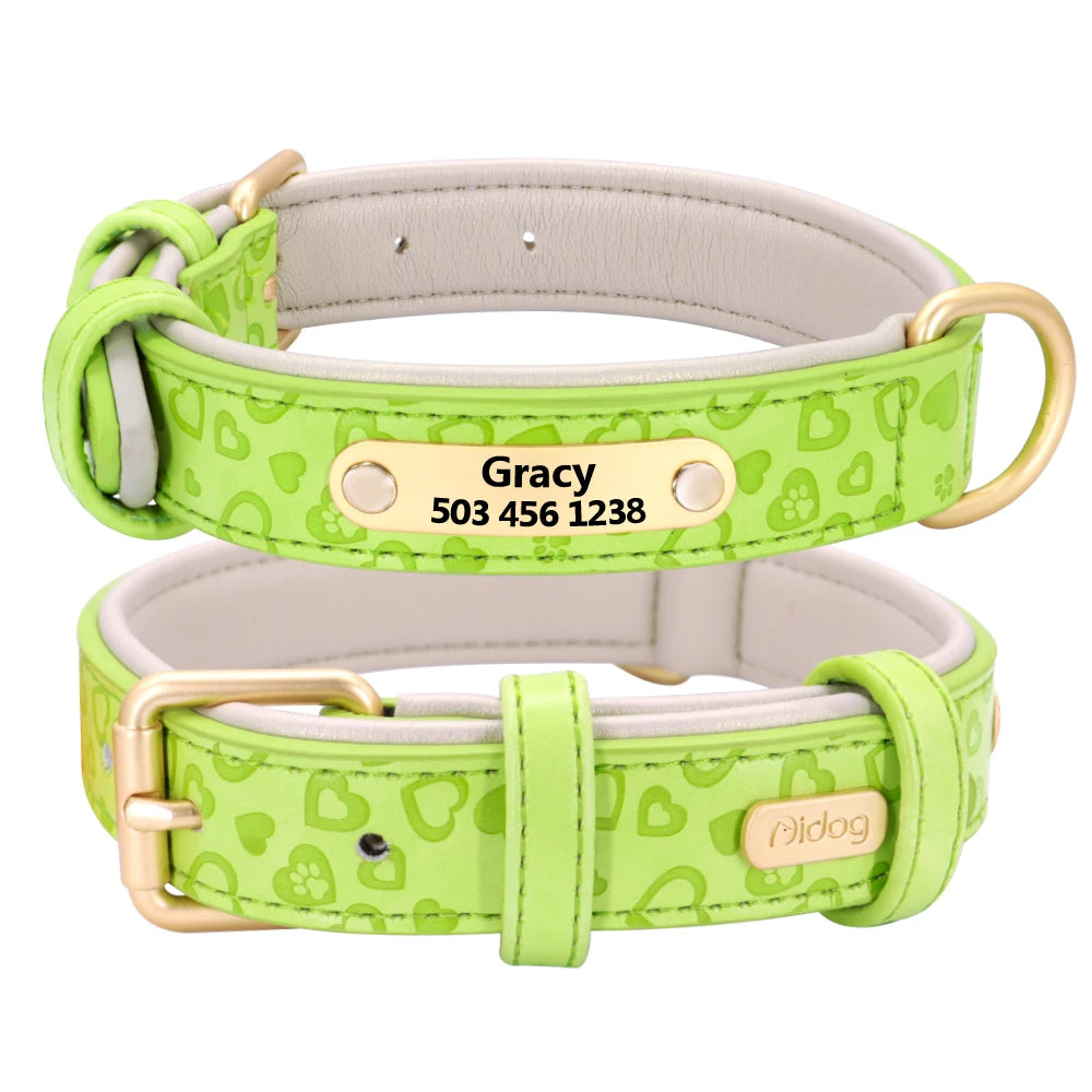 Personalized Padded Leather Dog Collar with Custom Engraved Nameplate – For Small to 2XL Dogs