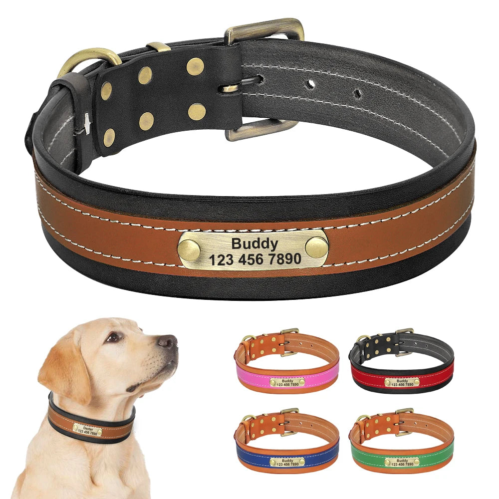 Personalized Leather Dog Collar – Soft Padded, Custom Engraved Nameplate for Medium & Large Dogs