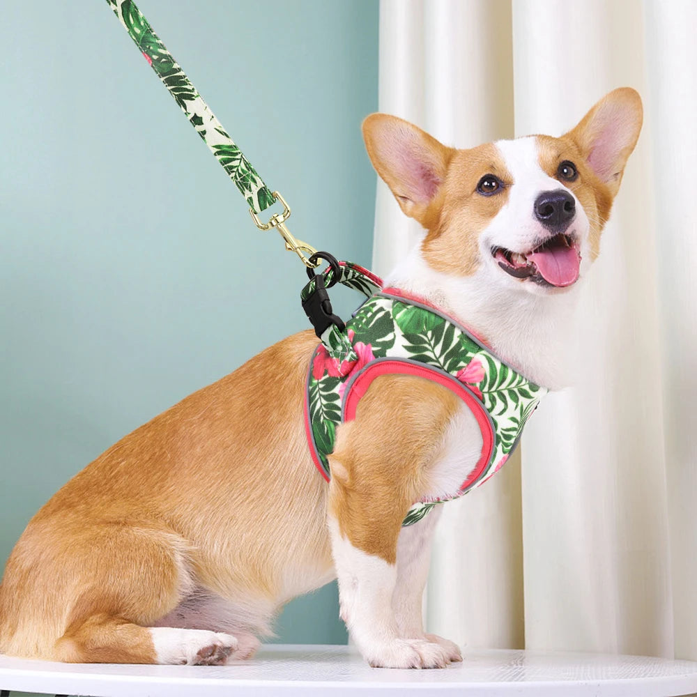 Printed Mesh Dog & Cat Harness Leash Set – Adjustable No-Pull Pet Vest with Matching Lead (Pink / Black / Blue)