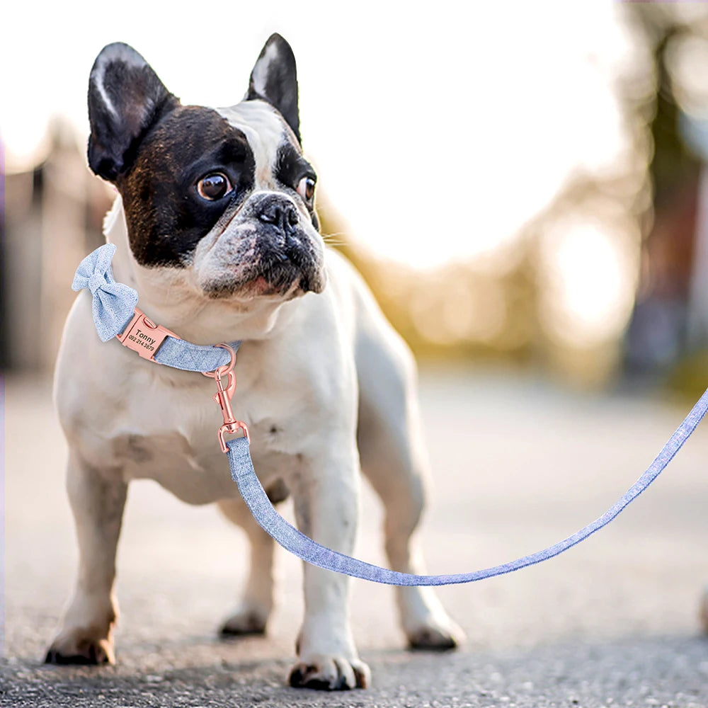 Customized Dog Collar & Leash Set – Personalized Pet Collars with Bowtie & Free Engraving