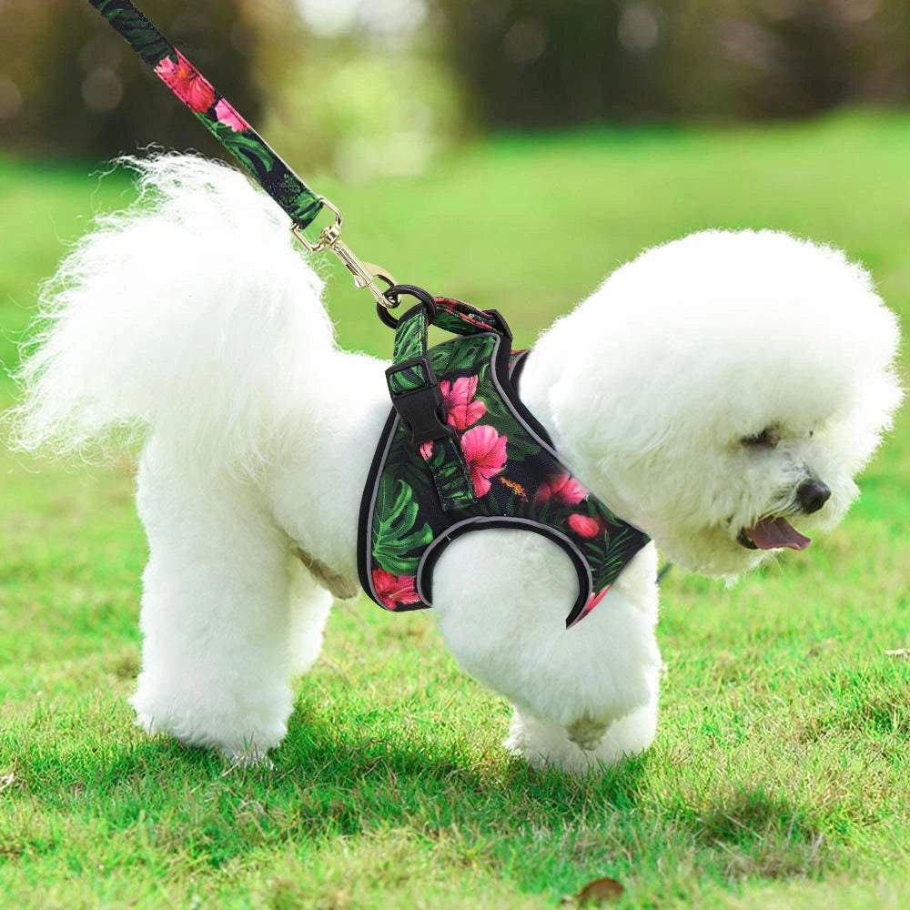 Printed Mesh Dog & Cat Harness Leash Set – Adjustable No-Pull Pet Vest with Matching Lead (Pink / Black / Blue)
