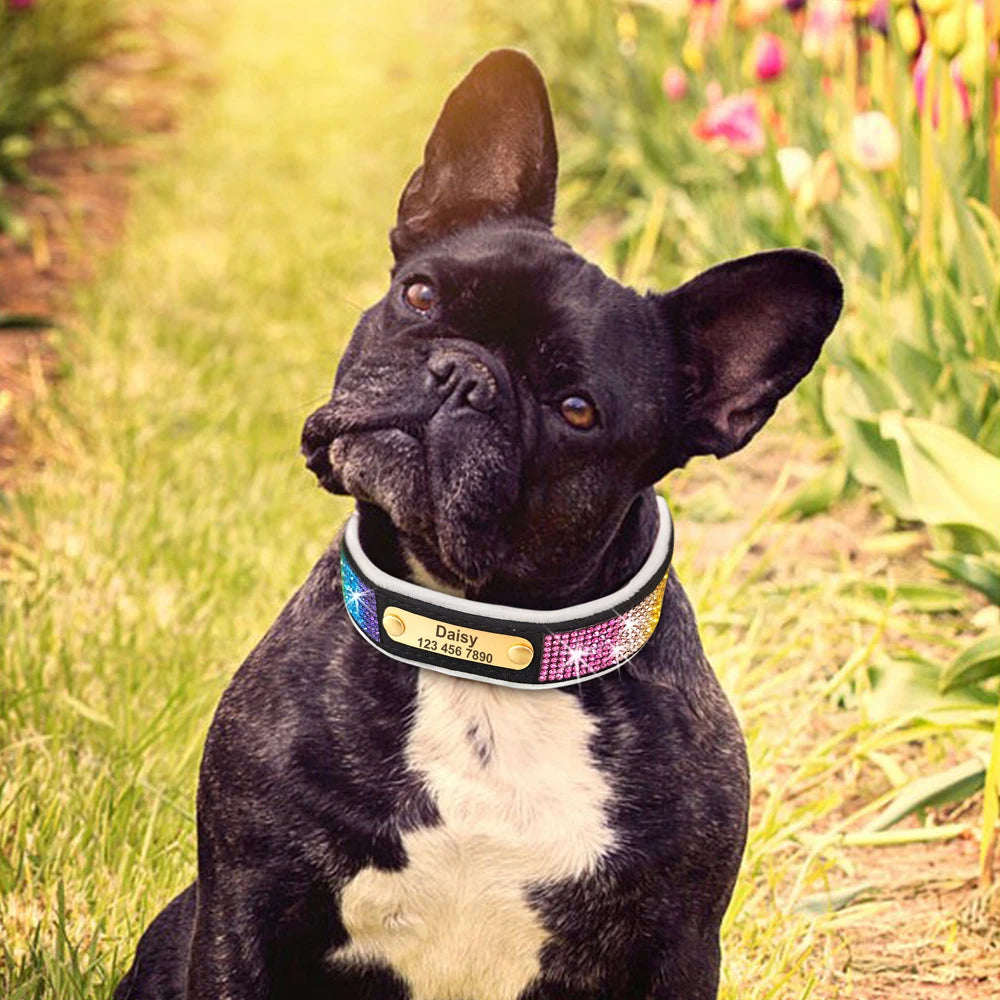 Personalized Dog Tag Collar – Bling Rhinestone Nylon Pet Collar with Soft Padded Lining, Free Engraving for Small Medium Dogs & Cats