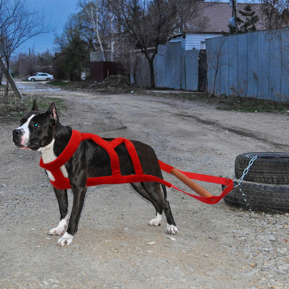Durable Big Dog Weight Pulling Harness Dog Sledding Harness For Medium Large Dogs German Shepherd Training Pet Agility Products