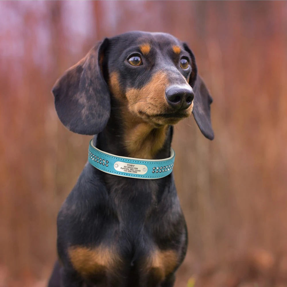 Personalized Dog Collar with Rhinestones – Custom Engraved Leather Pet ID Collar | Adjustable for Small, Medium & Large Dogs