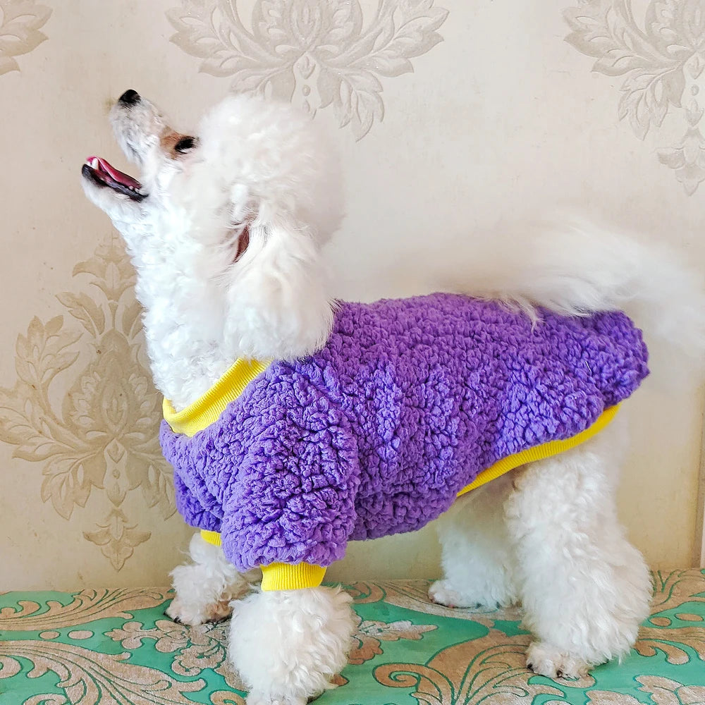 Winter Fleece Dog Jacket – Warm Teddy Coat for Small & Medium Pets