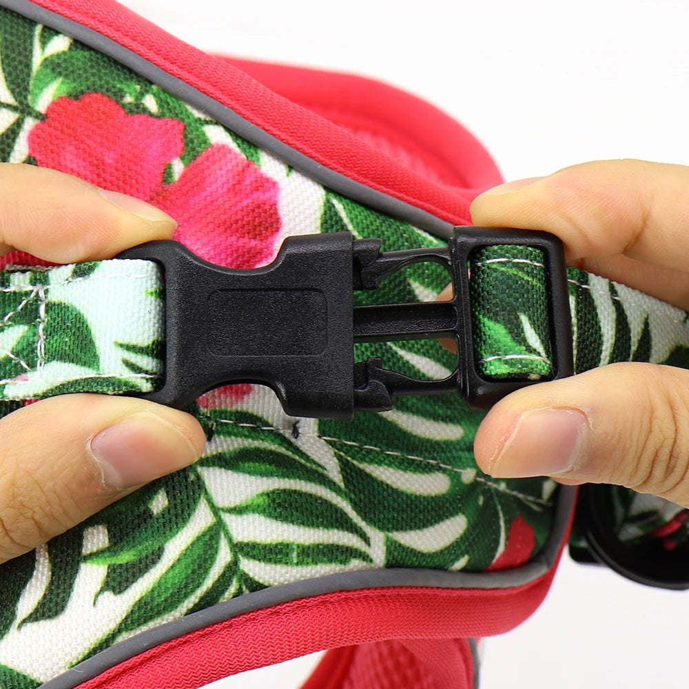 Printed Mesh Dog & Cat Harness Leash Set – Adjustable No-Pull Pet Vest with Matching Lead (Pink / Black / Blue)