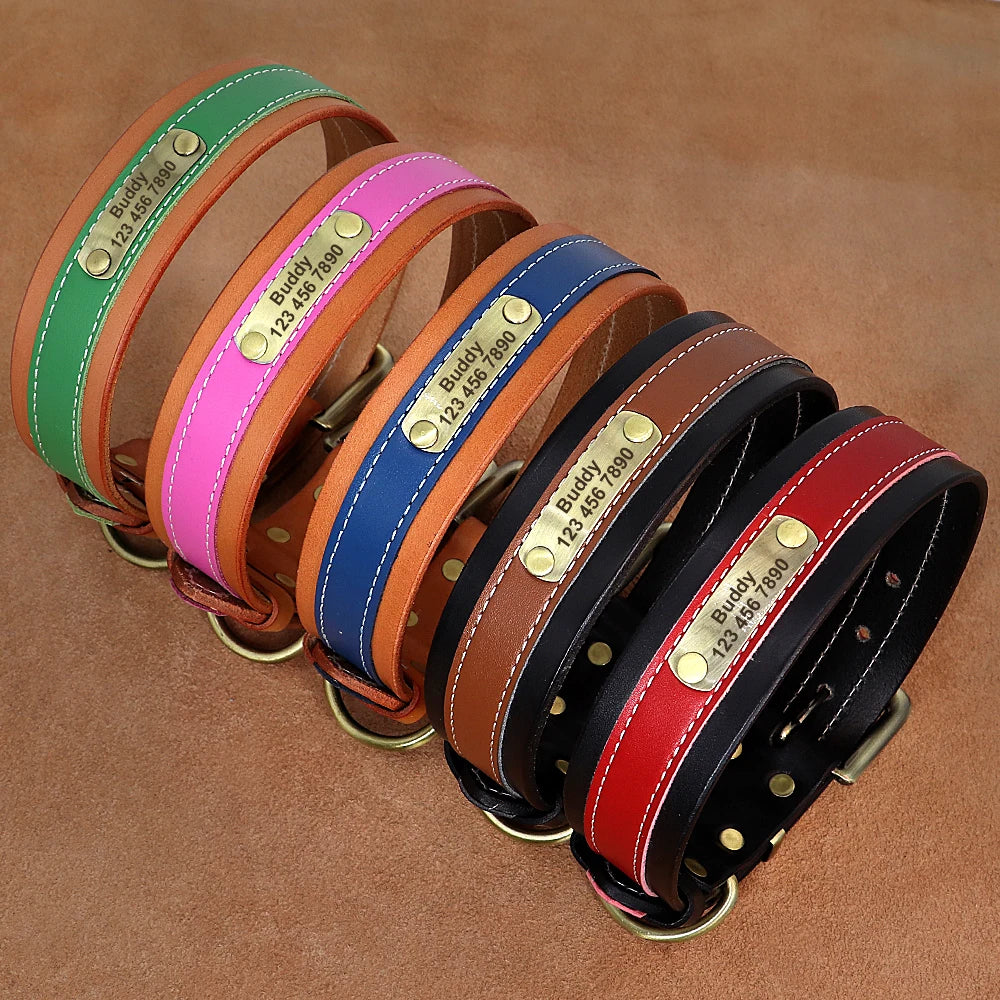 Personalized Leather Dog Collar – Soft Padded, Custom Engraved Nameplate for Medium & Large Dogs
