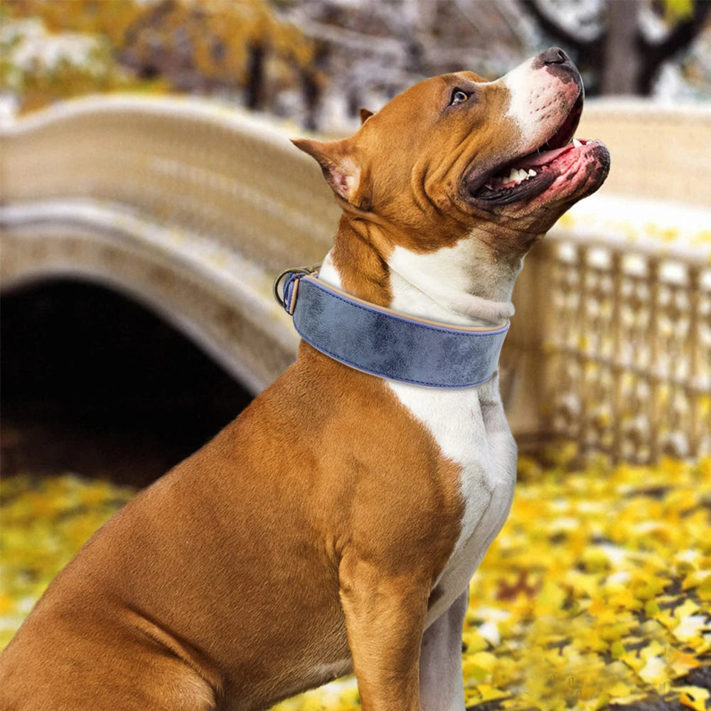 Wide Leather Dog Collar – Soft Padded & Adjustable | Durable Pet Collar for Pitbulls, German Shepherds, Bulldogs & Large Breeds (XL–2XL)